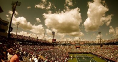 tennis court, tennis, stadium, audience, crowd, sport, competition, event, championship, green, match, player, versus, people, grunge, court, nature, spectators, sports, net, rogers centre, sky, clouds, athletes, flags, brown crowd, brown sports, brown event